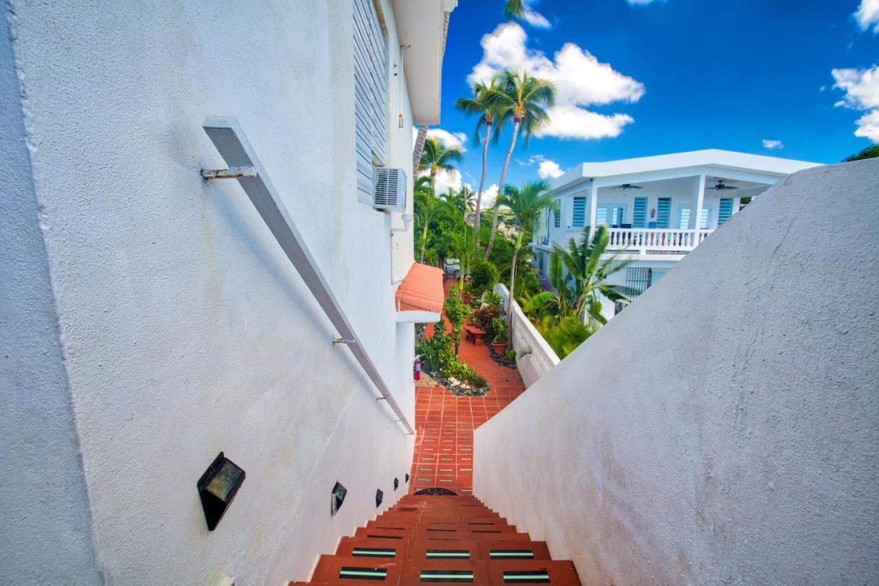 Coconut Palms Inn Ринкон Екстериор снимка