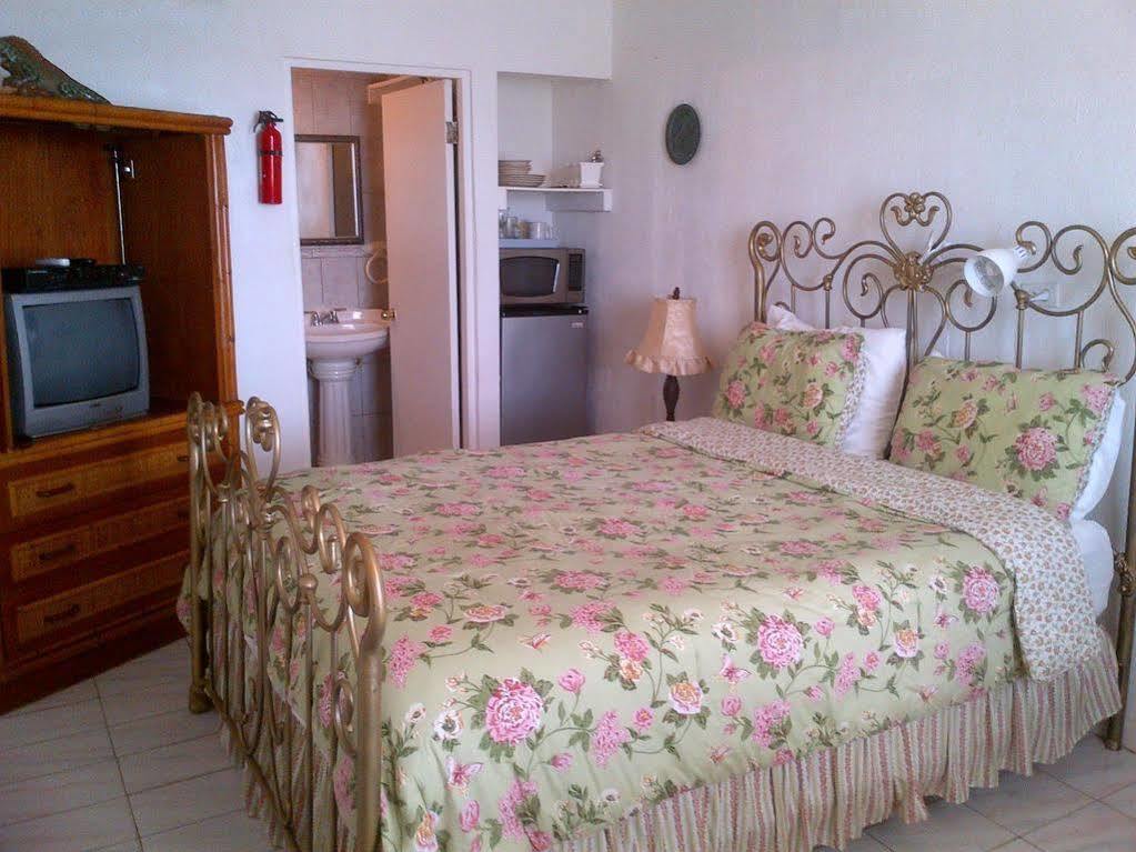 Coconut Palms Inn Ринкон Екстериор снимка