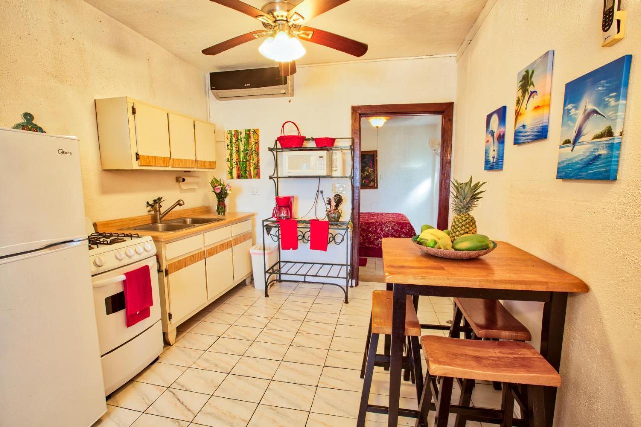 Coconut Palms Inn Ринкон Екстериор снимка