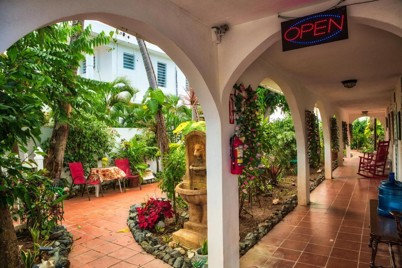Coconut Palms Inn Ринкон Екстериор снимка